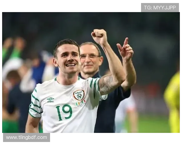 法国与爱尔兰足球历史交锋记录分析与回顾