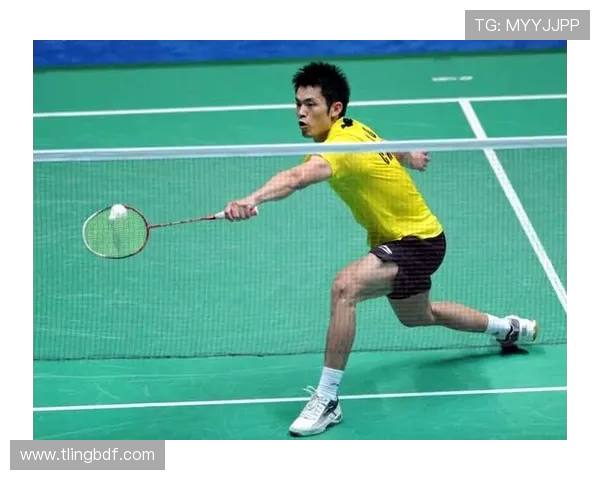 上海羽毛球队在奥运会上的灵活性表现分析与点评