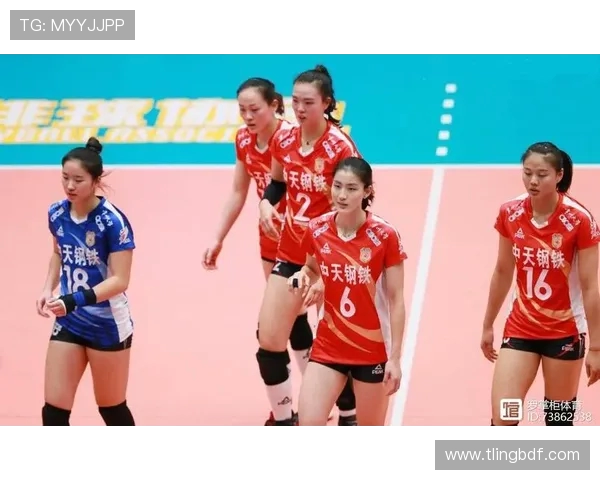 北京排球队实力强劲最新排球力量排行榜前十名揭晓