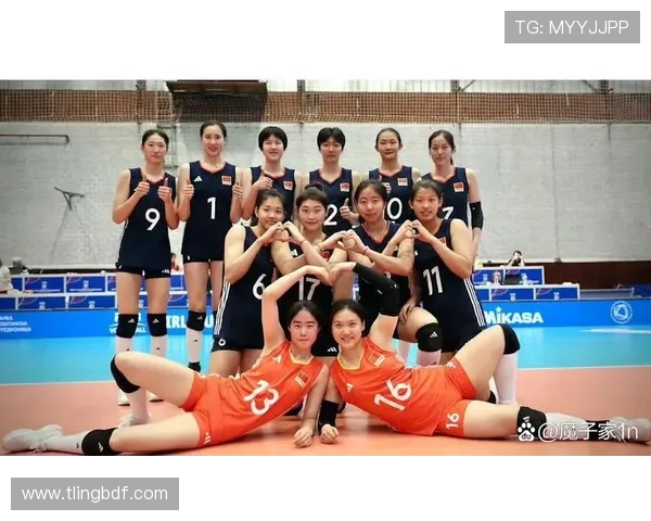 排球力量排行榜揭晓北京排球队荣登第七名展现强劲实力